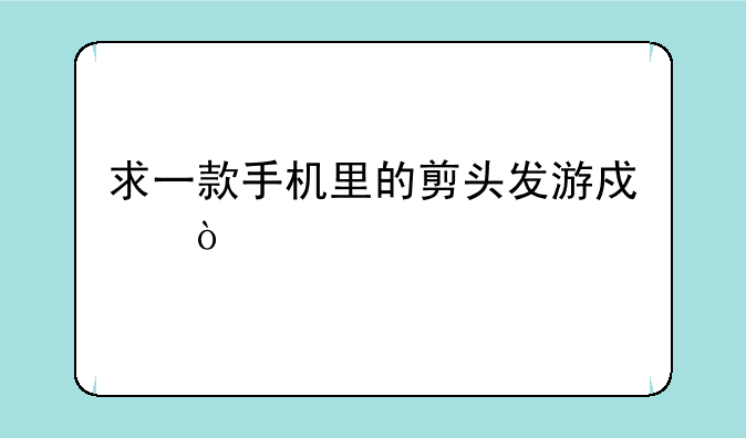求一款手机里的剪头发游戏？