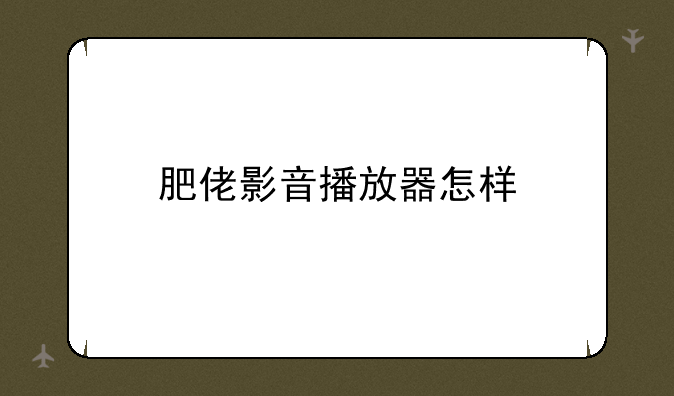 肥佬影音播放器怎样