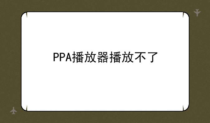 PPA播放器播放不了