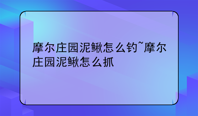摩尔庄园泥鳅怎么钓~摩尔庄园泥鳅怎么抓